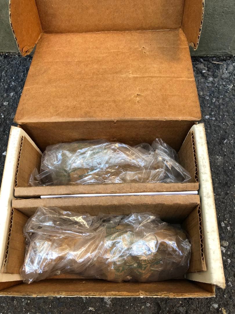 ハーレー　ハイカム　スクリーミンイーグル　259E