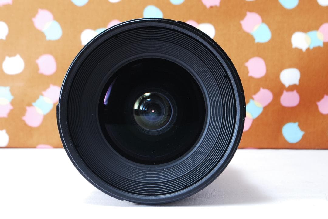 ✨超美品✨Tokina SD 12-24mm F4 DXⅡ AT-X PRO