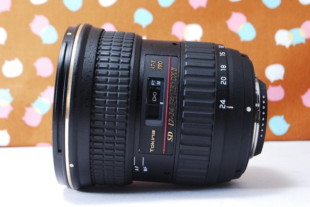 ✨超美品✨Tokina SD 12-24mm F4 DXⅡ AT-X PRO