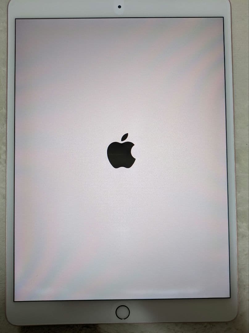 iPad本体 iPad Pro 10.5(256GB)+Apple Pencil