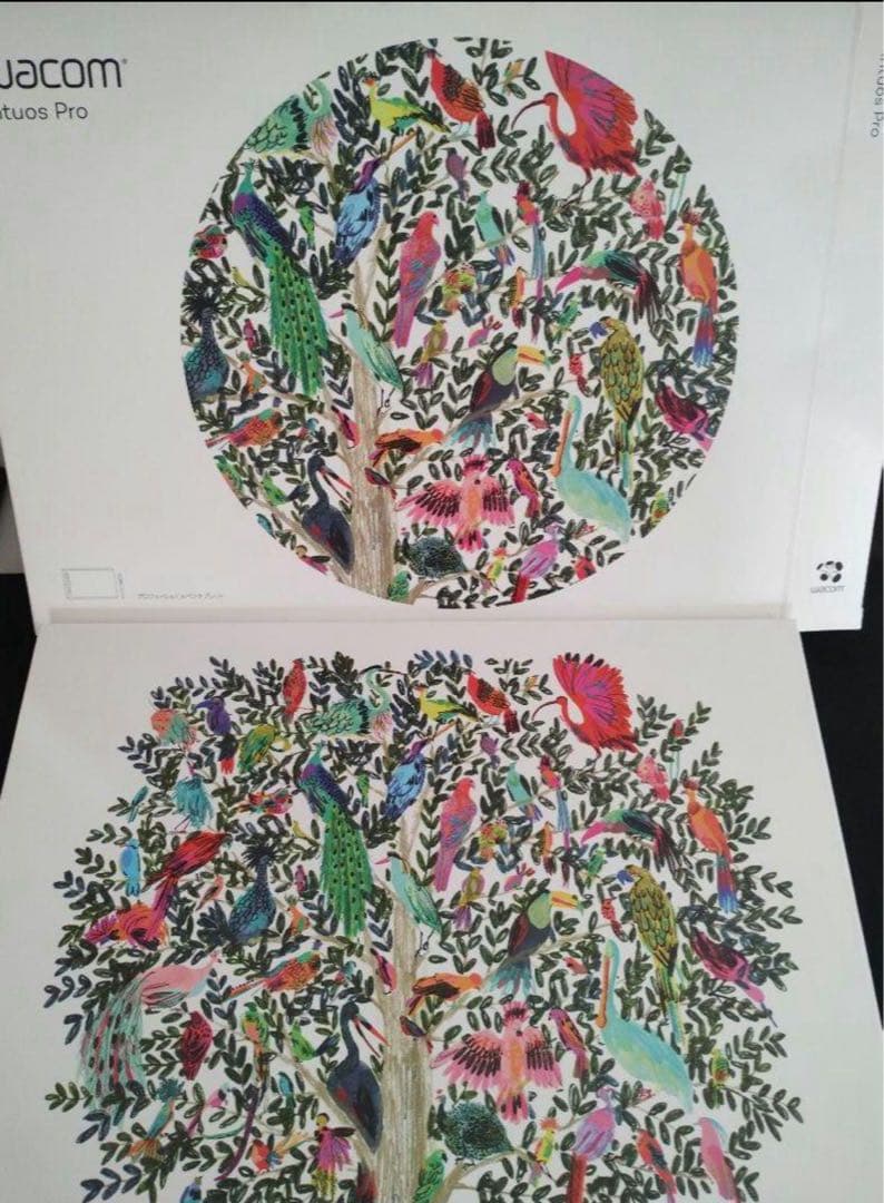 Wacom Intuos Pro M PTH-660 ワコム ペンタブ