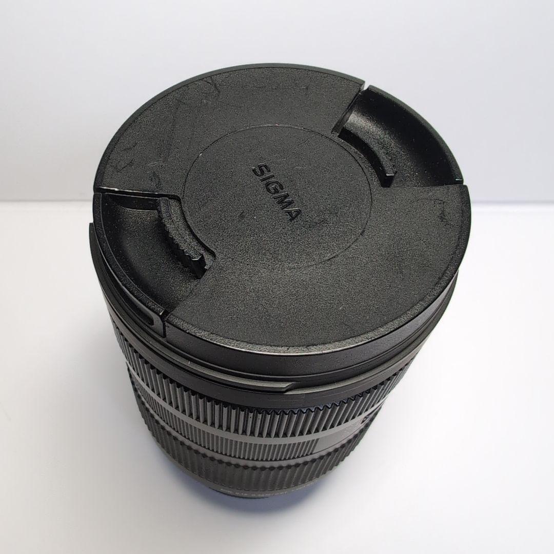 SONY α7Cⅱ + SIGMA 28-70mm F2.8