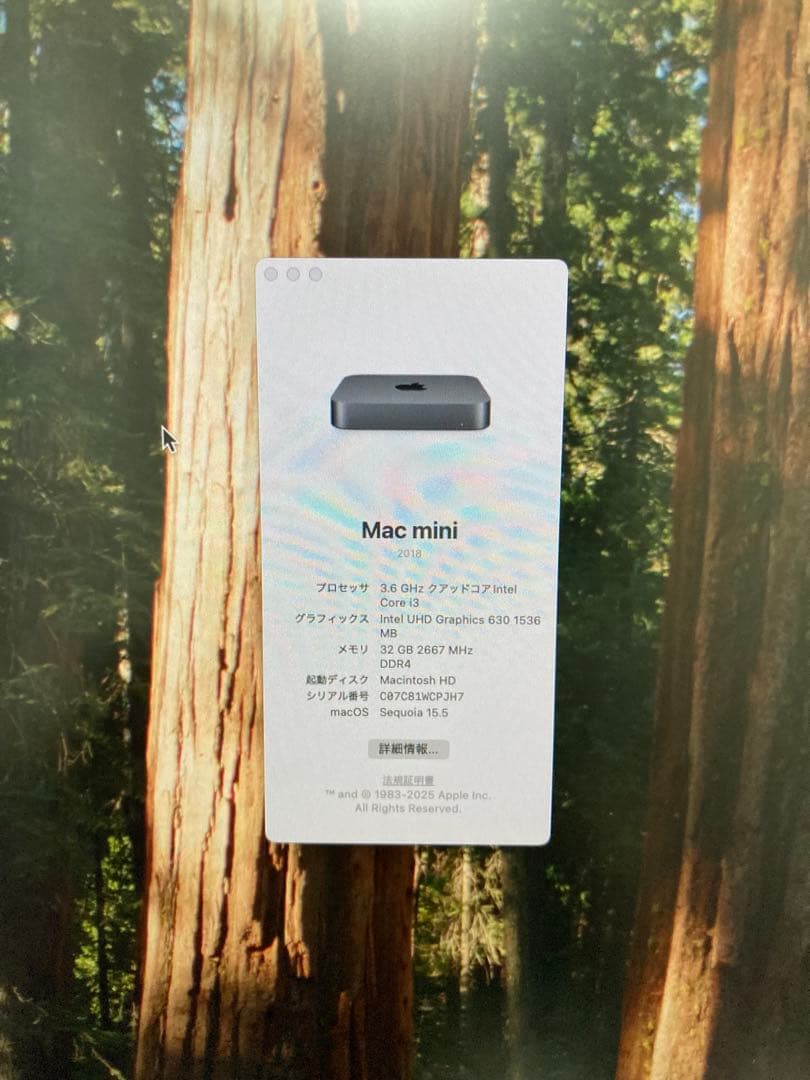 Apple Mac mini 2018 i3 メモリ32GB SSD256GB