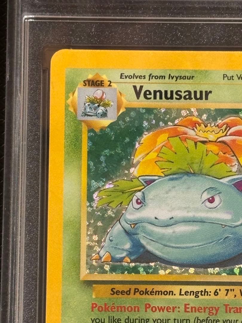 【10 GEM MT！】ポケモンカード　フシギバナ　英語版　ポケカ　キラ