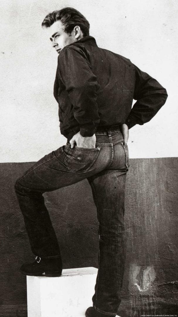 Lee リー THE ARCHIVES RIDERS 101-Z 1955