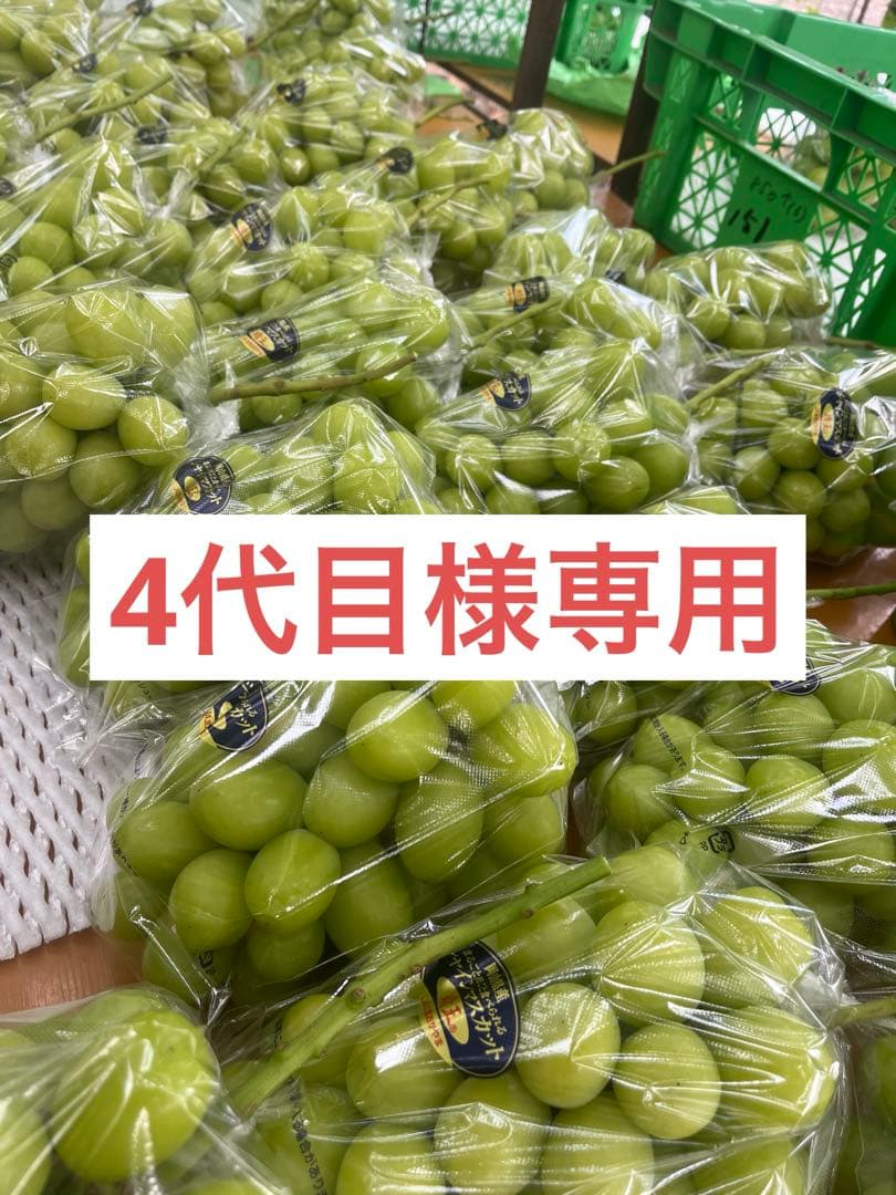 晴王　11日or12日発送