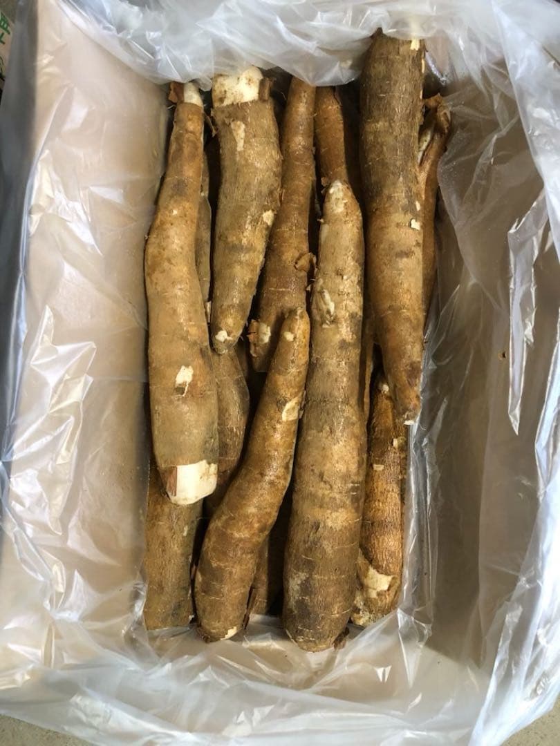 徳之島産キャッサバ生芋15キロ入り