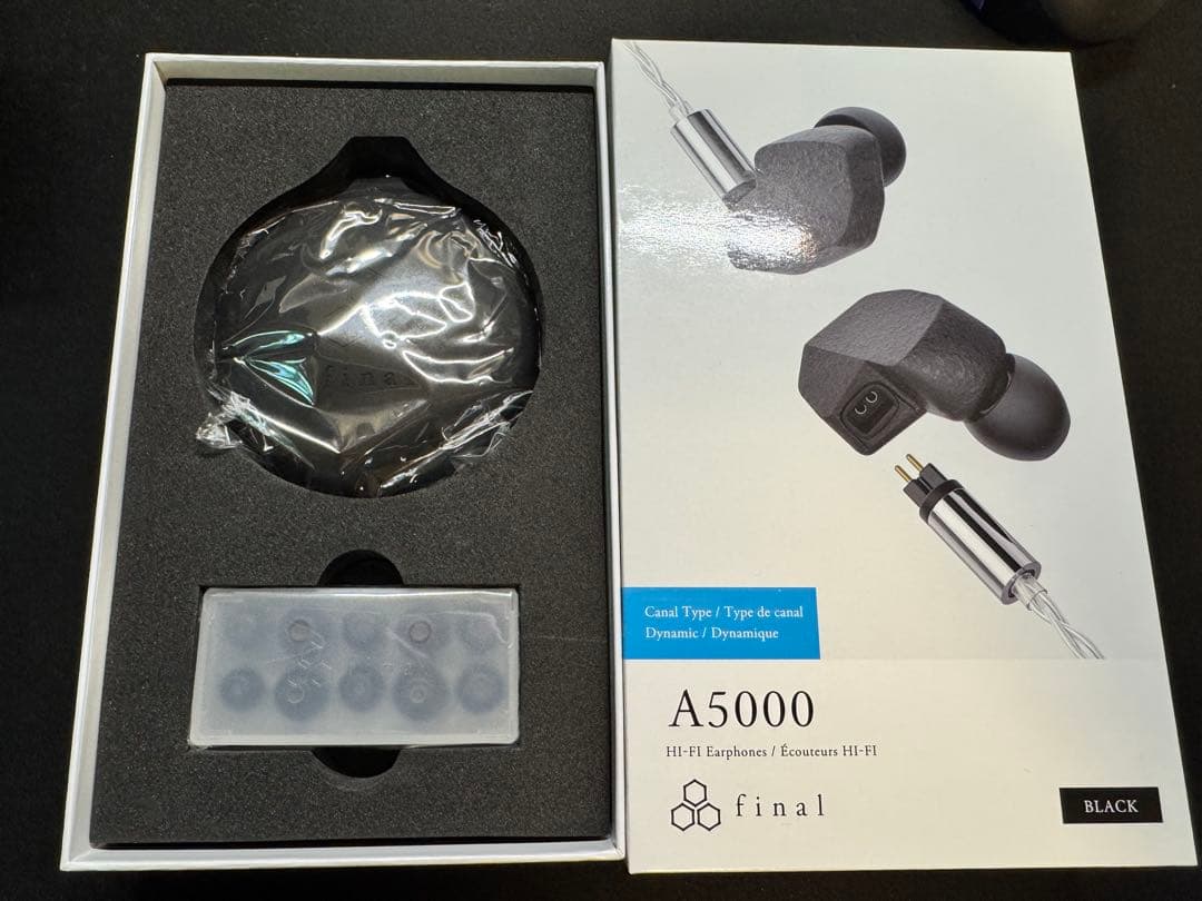 final A5000 ケーブル・イヤーフック欠品