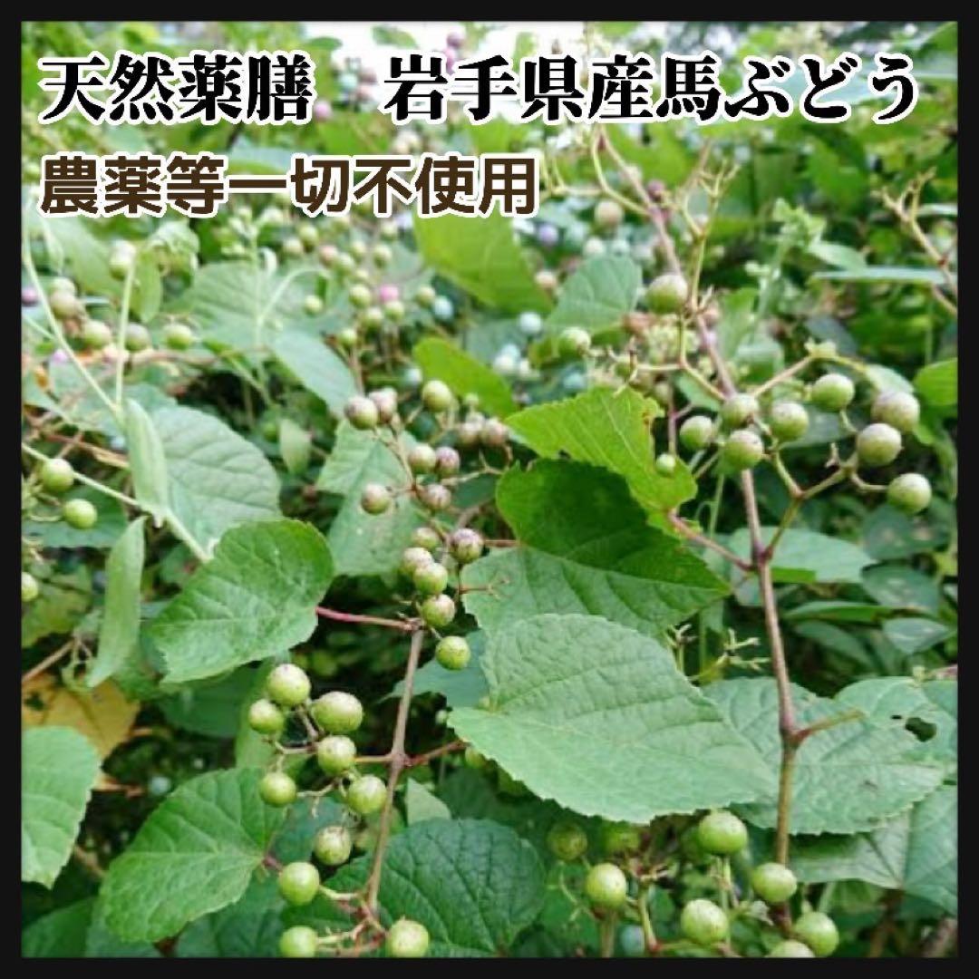 【大容量】馬ぶどう250g×12袋　1年分3kg うまぶどう　薬膳　民間療法