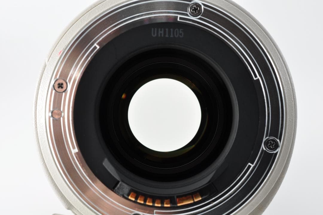 レンズ(ズーム) Canon EF 35-350mm F3.5-5.6L USM #1248