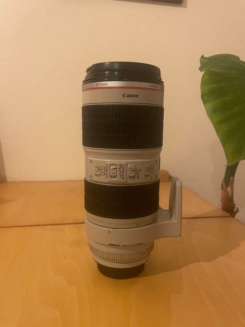 レンズ(ズーム) Canon EF 70-200mm f/2.8L IS II USM