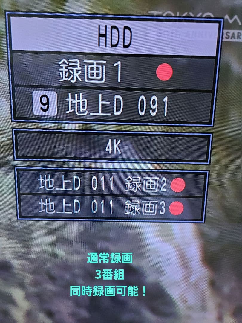 Panasonic DMR-UCX8060 HDD2台とHDMIケーブル付き！