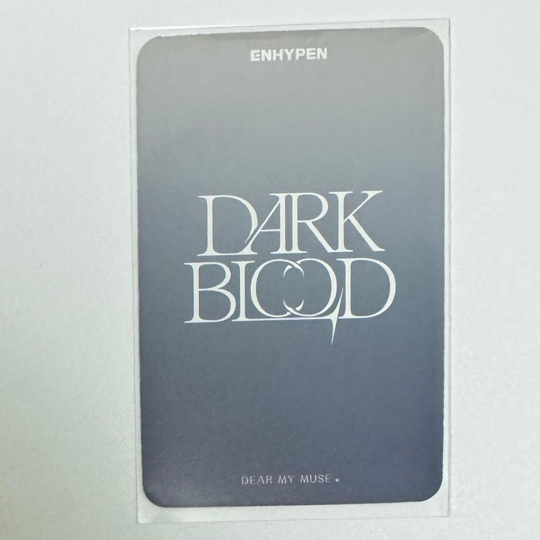 ENHYPEN ソヌ dark blood dear my muse 特典 公式