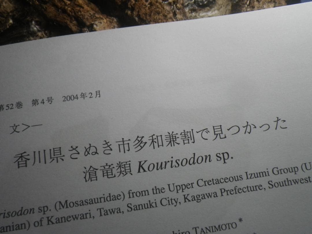 国産化石　貴重レプリカ　２５１１１２－１