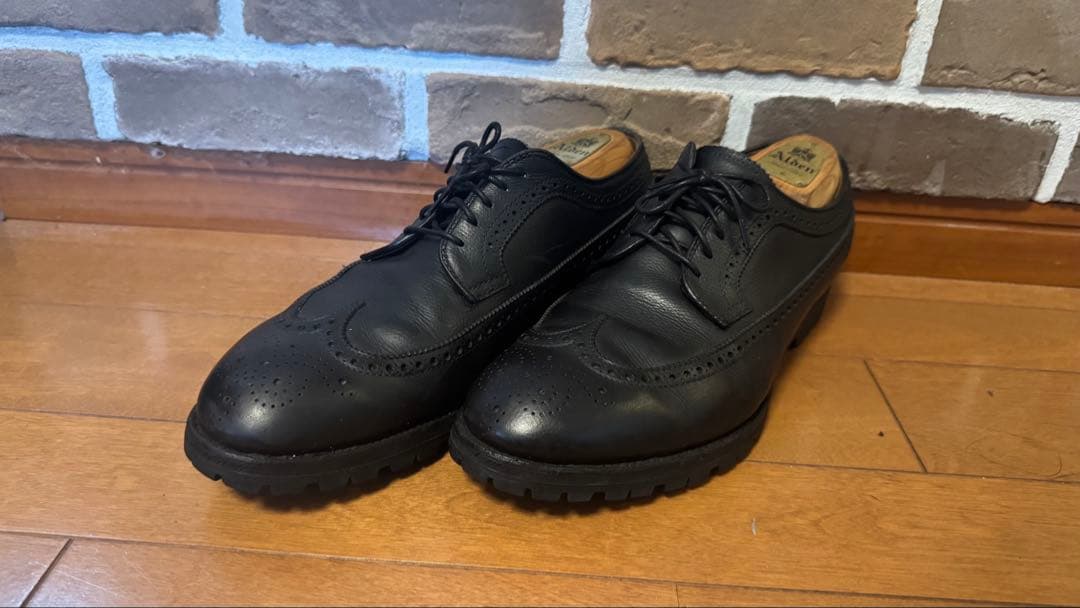 オールデン×アナトミカ ロングウイング 純正シューツリー付 サイズ10 ブラック