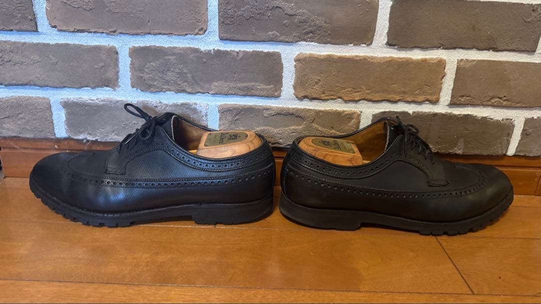 オールデン×アナトミカ ロングウイング 純正シューツリー付 サイズ10 ブラック