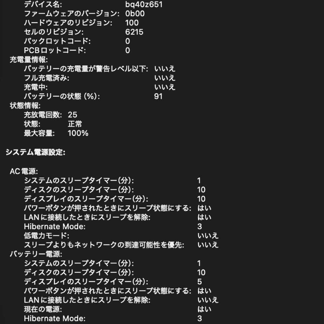 極美品 MacBook Air M3 16GB 256GB バッテリー100%