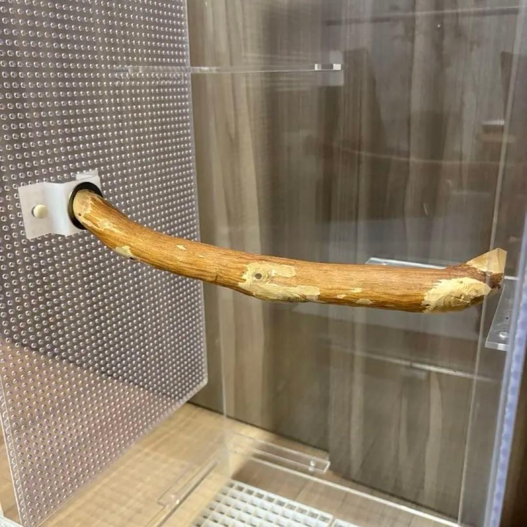 フクロモモンガ　アクリルゲージ　アクリルケージ