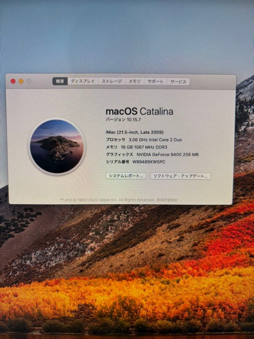 Macデスクトップ Apple iMac (21.5-inch, Late 2009)