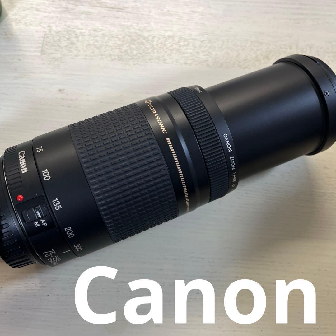 Canon EF 75-300mm ULTRASONICレンズセット