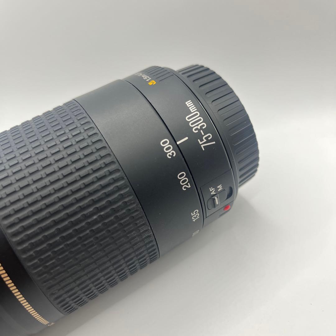 Canon EF 75-300mm ULTRASONICレンズセット