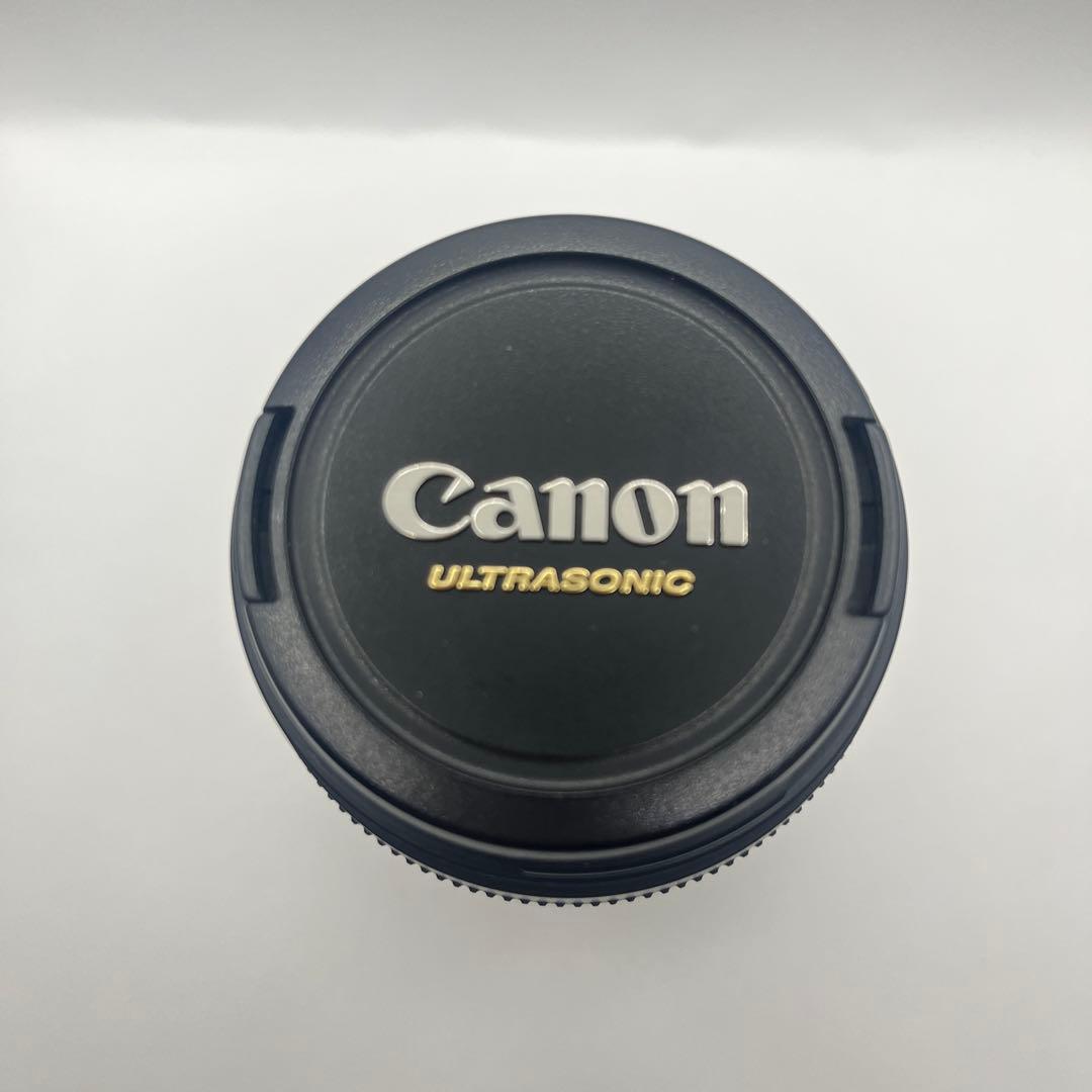 Canon EF 75-300mm ULTRASONICレンズセット