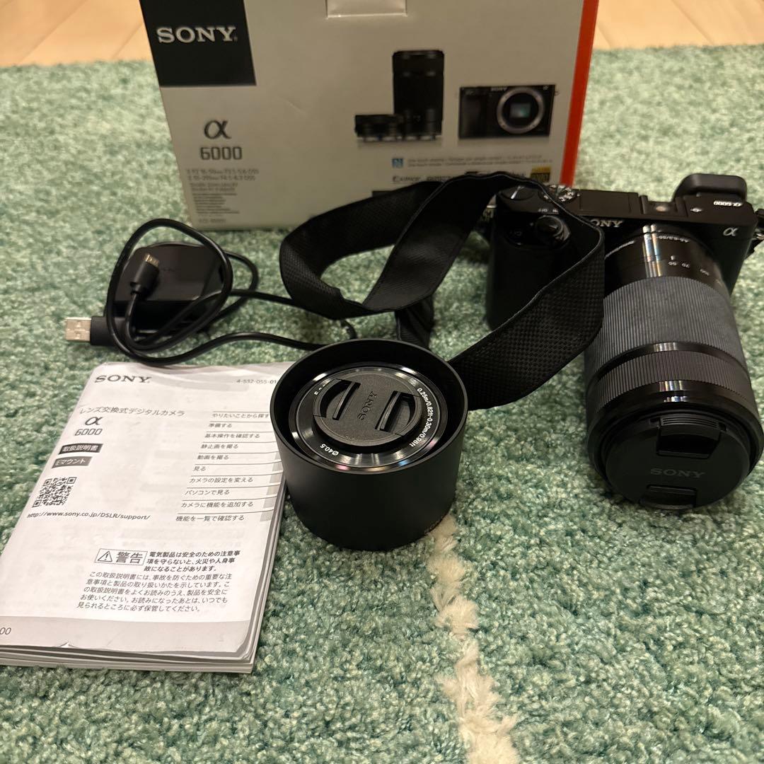 SONY α6000 ILCE-6000Y-B レンズ2付
