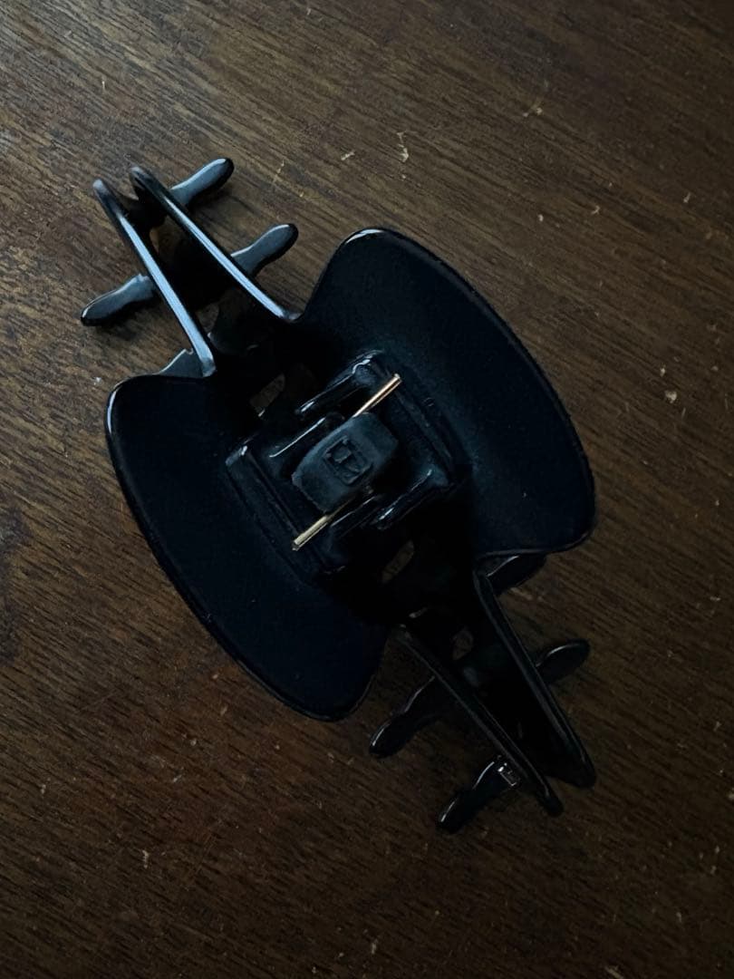 正規品ALEXANDRE DE PARIS L クリップ黒