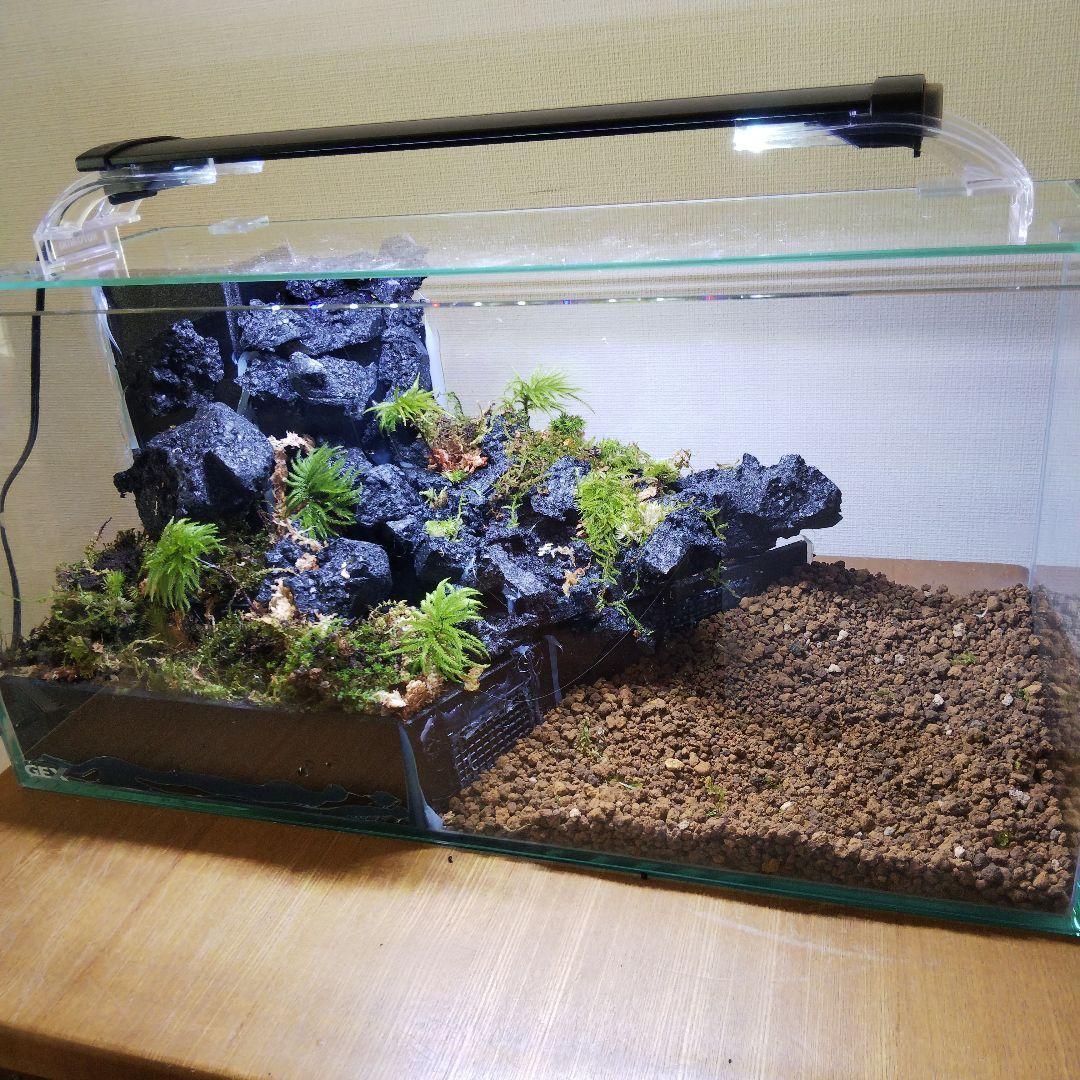 【受注生産】滝のあるアクアテラリウム　イモリウム　苔テラリウム　アクアテラリウム