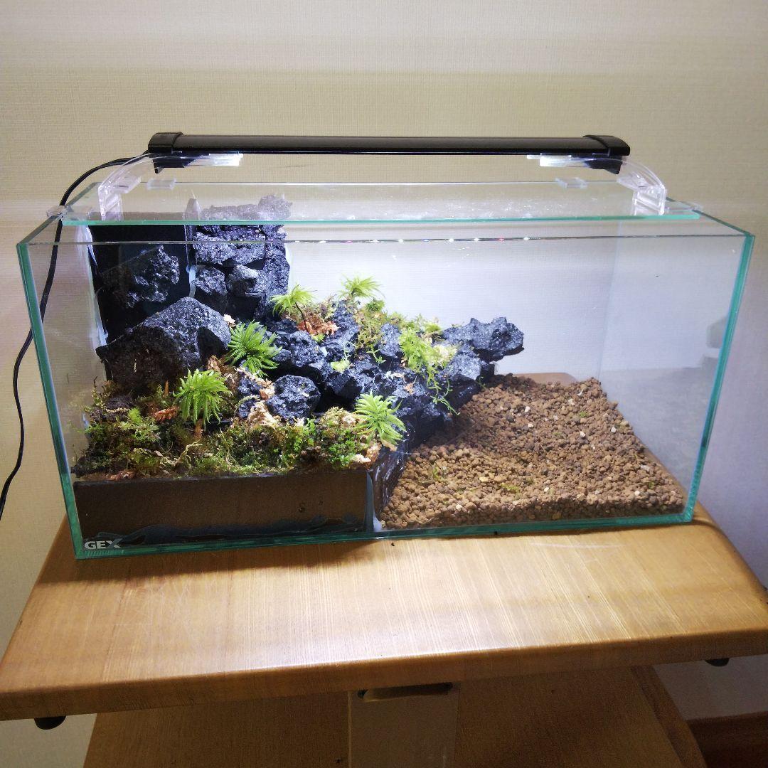 【受注生産】滝のあるアクアテラリウム　イモリウム　苔テラリウム　アクアテラリウム