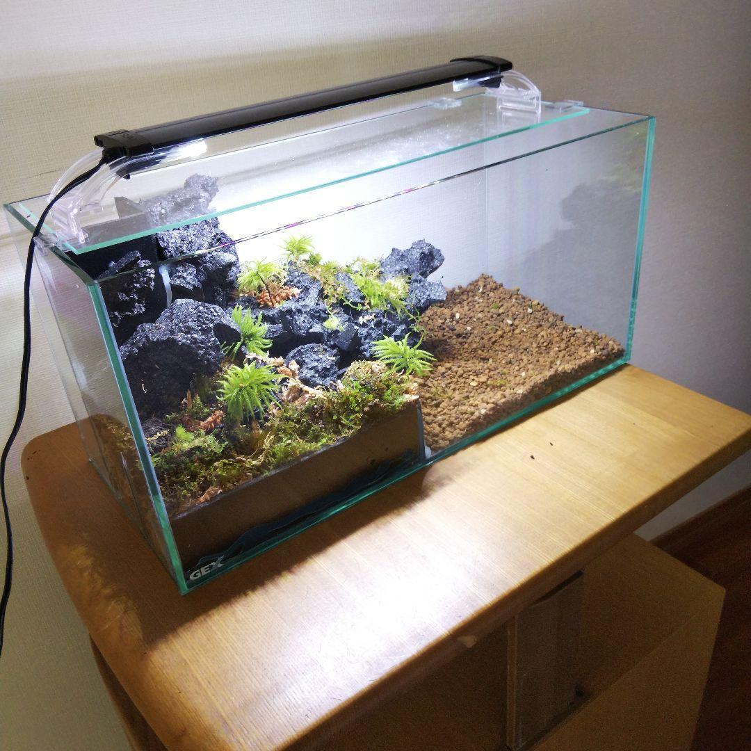 【受注生産】滝のあるアクアテラリウム　イモリウム　苔テラリウム　アクアテラリウム