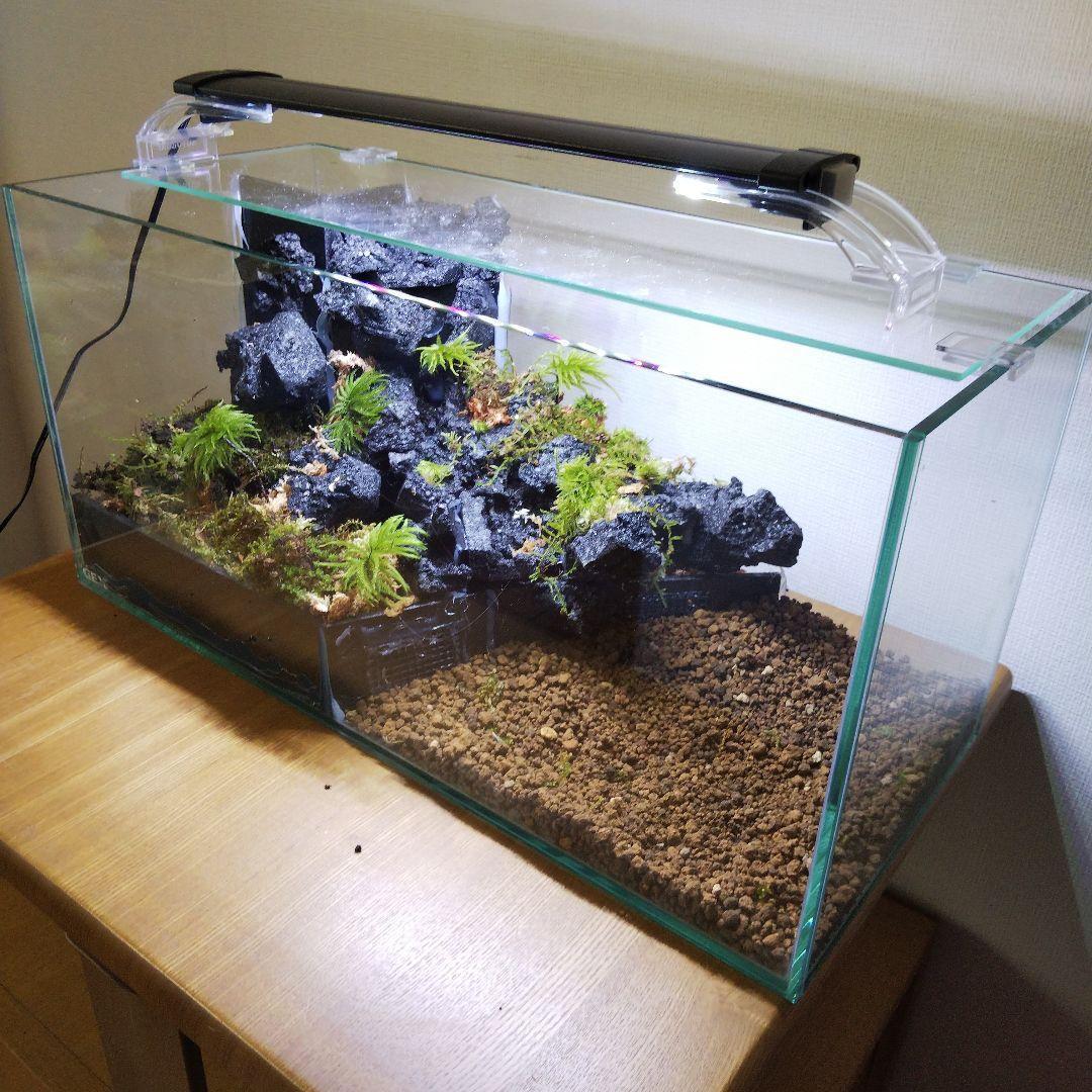 【受注生産】滝のあるアクアテラリウム　イモリウム　苔テラリウム　アクアテラリウム