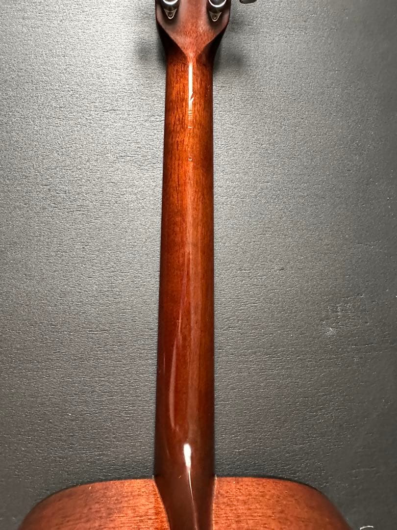 Takamine F340S タカミネ Lawsuit