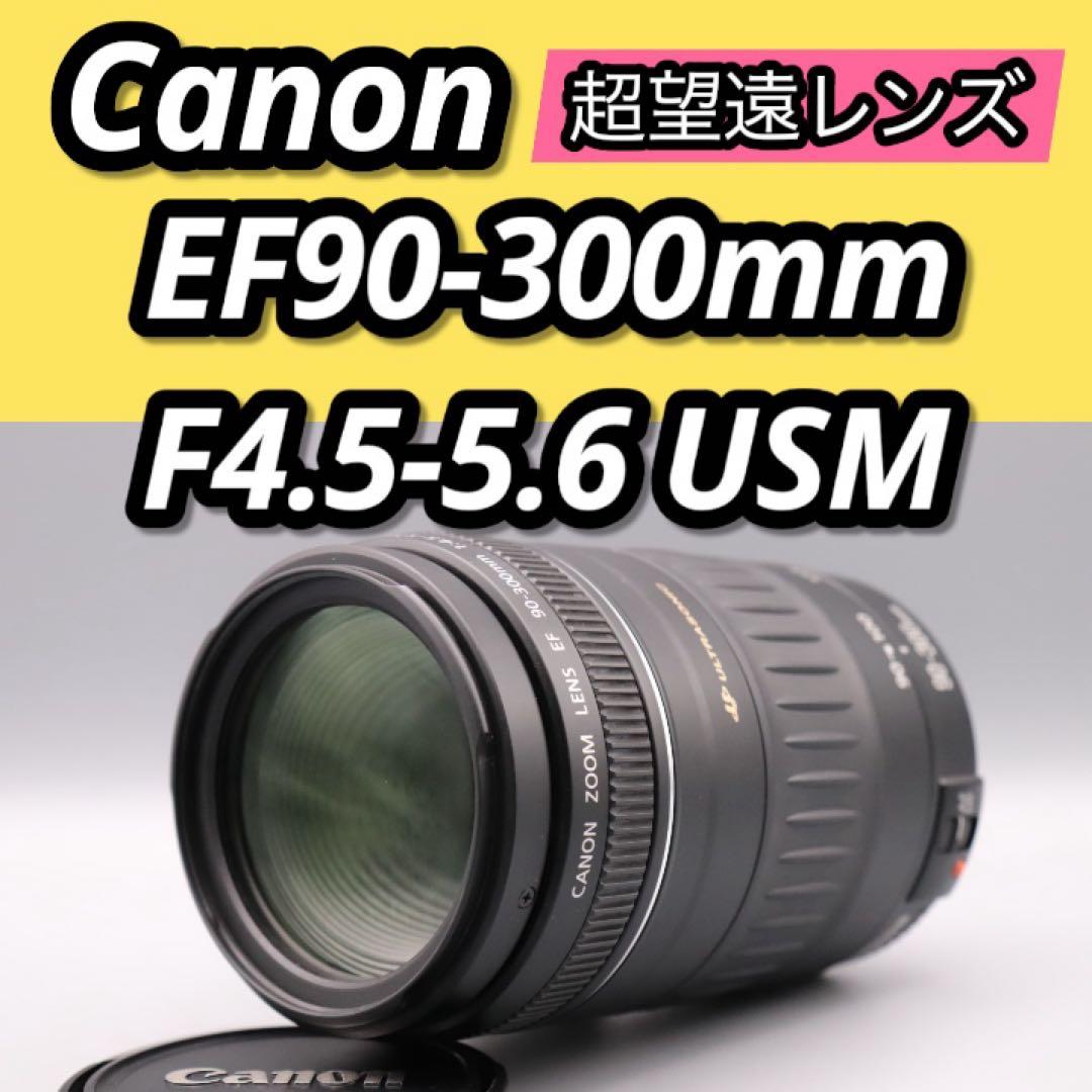 美品！ Canon EF90-300mm F4.5-5.6 USM 超望遠レンズ