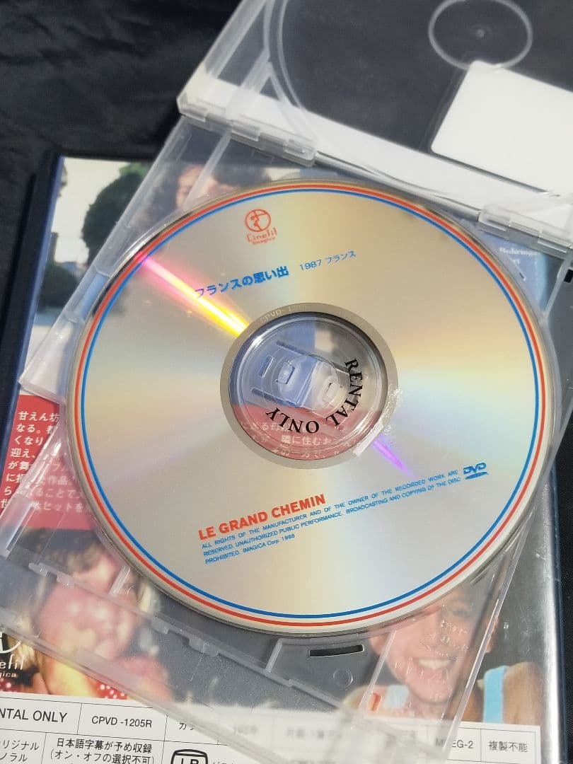 廃盤レア『フランスの思い出』おてんば娘と少年のわんぱくな交流