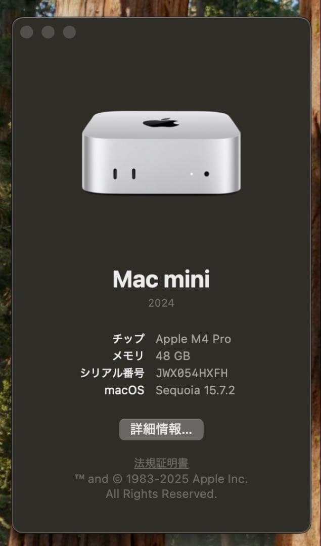 Apple Mac mini シルバー M4 Pro