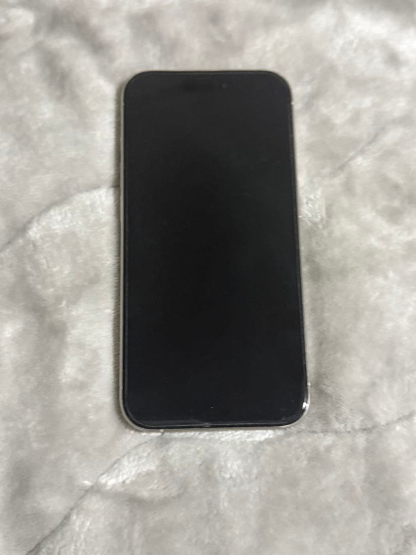 Apple iPhone 15 Pro 256GB ホワイトチタニウム 箱あり