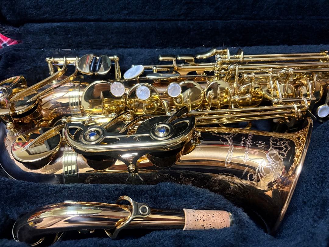 ヤナギサワアルトサツクスWO20 本体