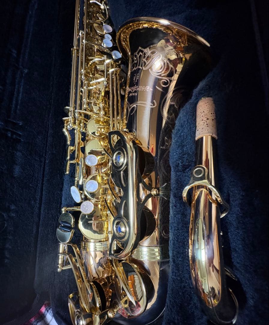 ヤナギサワアルトサツクスWO20 本体