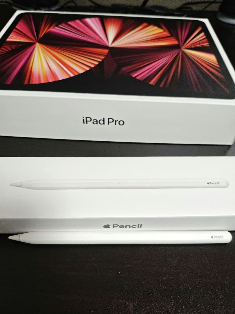 【美品】iPad Pro 11インチ 256GB+Apple Pencil