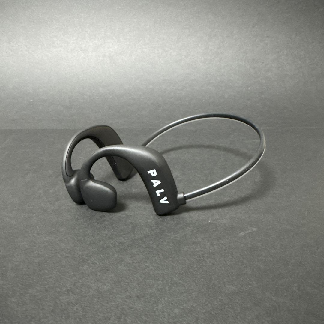 PALV EARwear ワイヤレスイヤホン クリアデザイン