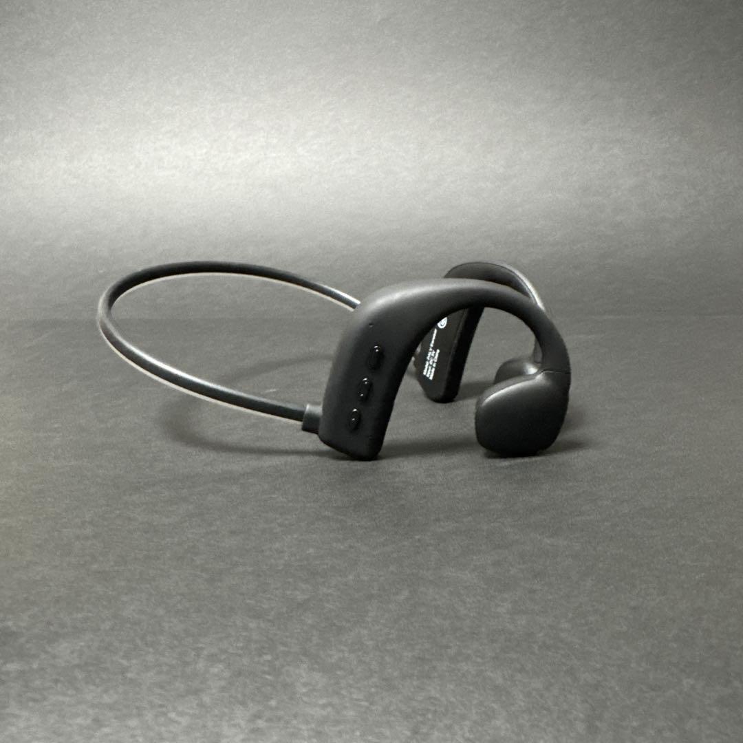 PALV EARwear ワイヤレスイヤホン クリアデザイン