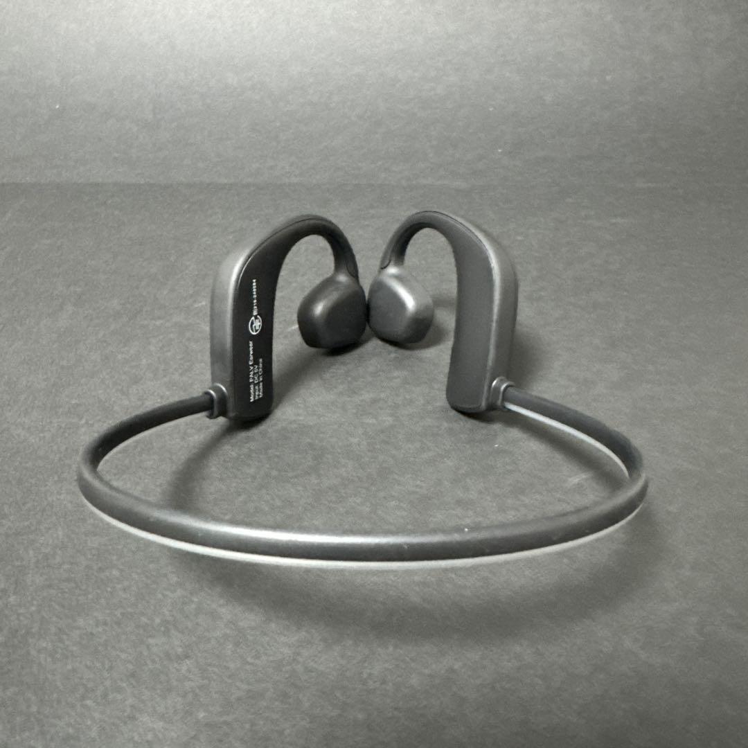 PALV EARwear ワイヤレスイヤホン クリアデザイン