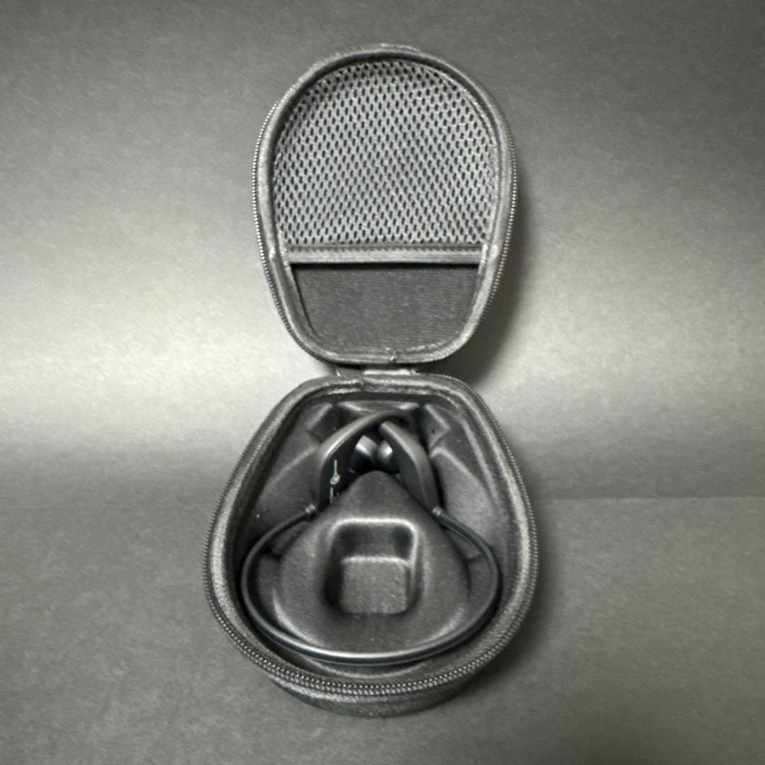 PALV EARwear ワイヤレスイヤホン クリアデザイン