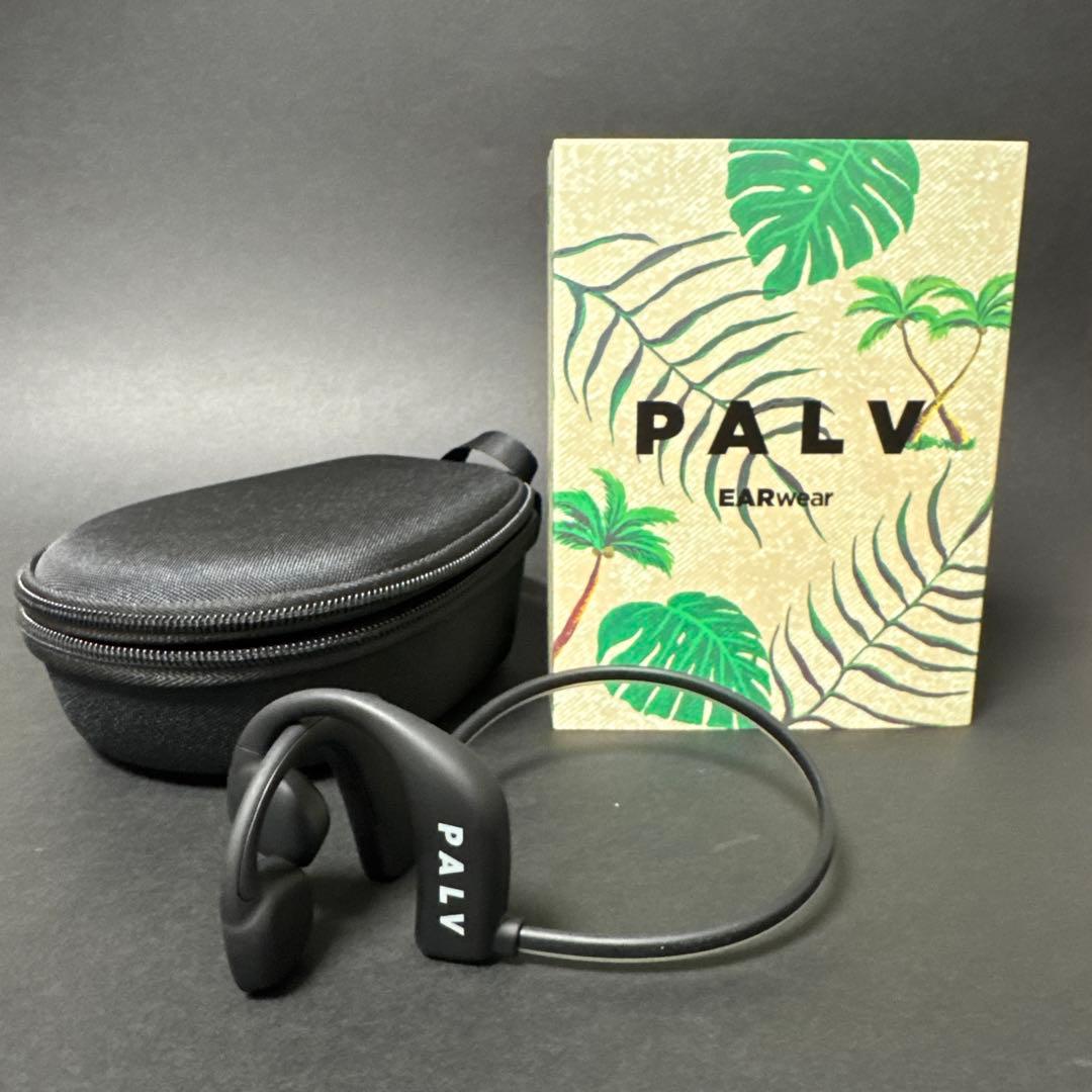 PALV EARwear ワイヤレスイヤホン クリアデザイン