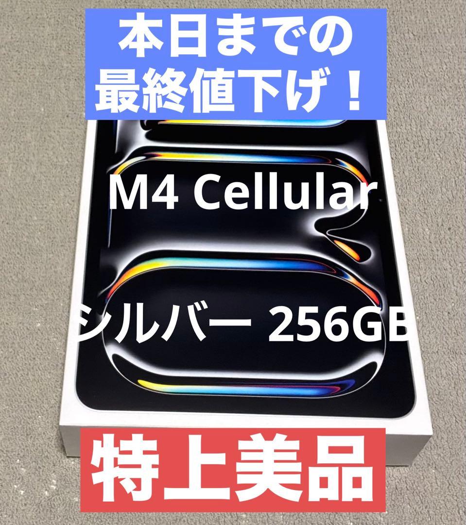 Apple iPad Pro（M4） Wi-Fi+Cellular 256GB