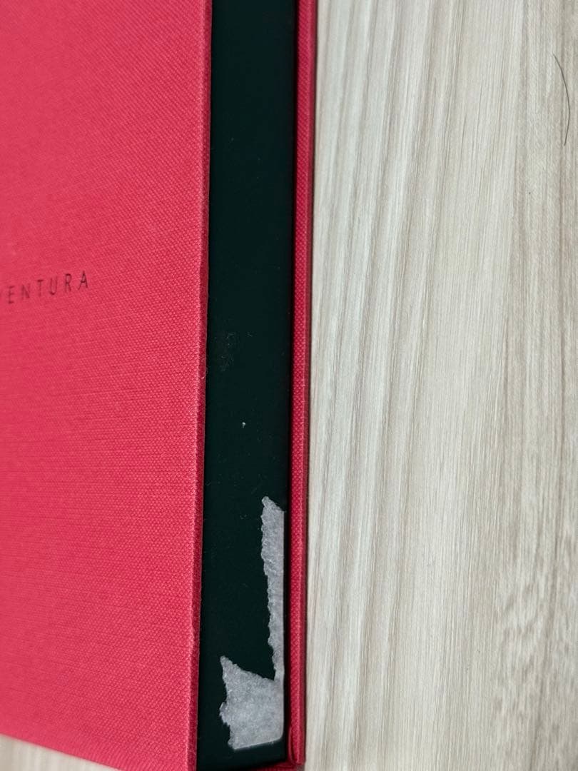 ボナベンチュラ　iPhone16promaxケース