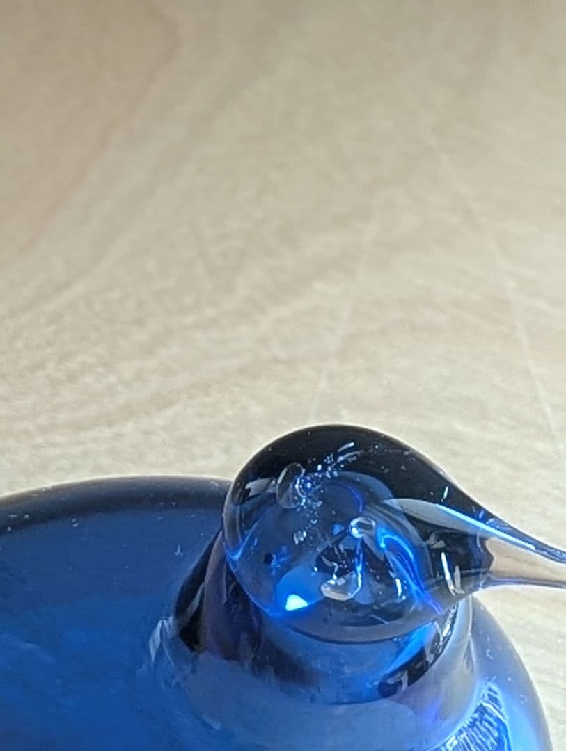 イッタラバード　リトルターン　ウルトラマリンブルー