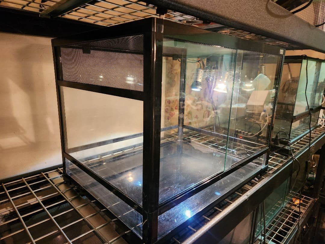 パンテオンブラック6045 マイクロサン53w マイクロuvbLED全て中古1台