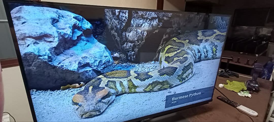 テレビ SHARP AQUOS 4T-C40CL1